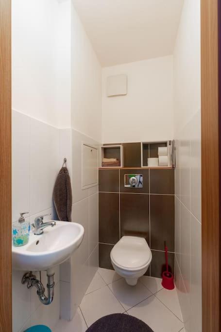 Charming With Quiet Garden In Downtown Apartmán